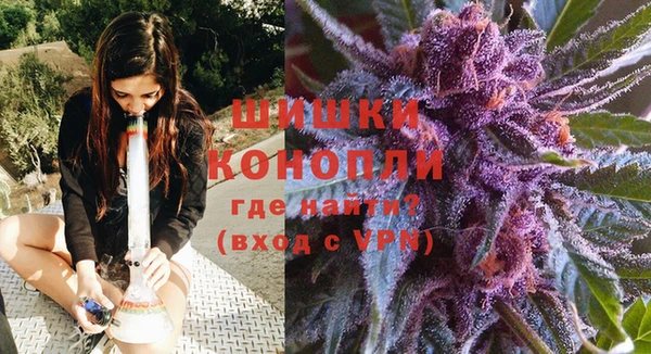 гидра Михайловка
