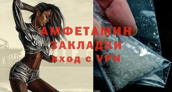 гидра Михайловка
