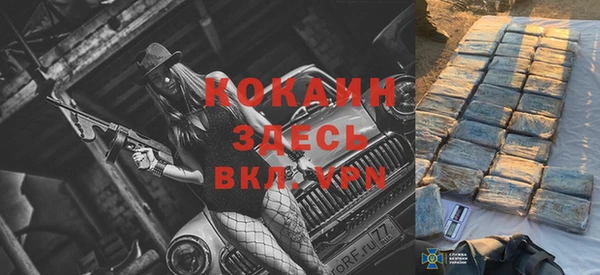 гидра Михайловка