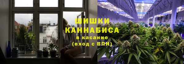гидра Михайловка
