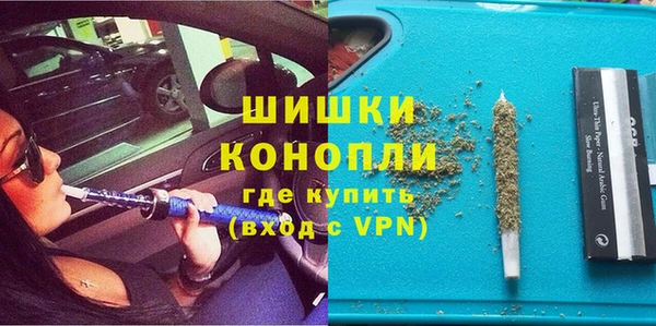 гидра Михайловка