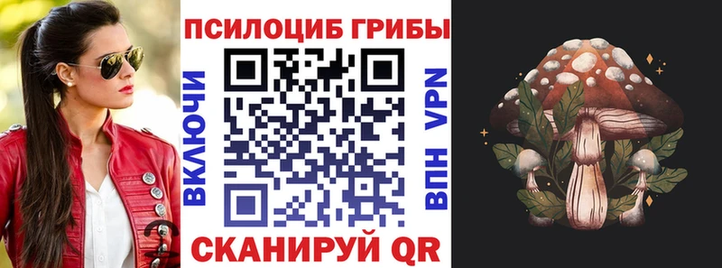 Галлюциногенные грибы Magic Shrooms  Георгиевск 