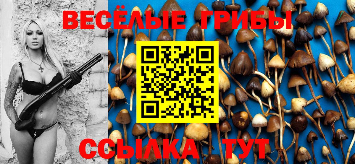 Псилоцибиновые грибы мицелий Георгиевск