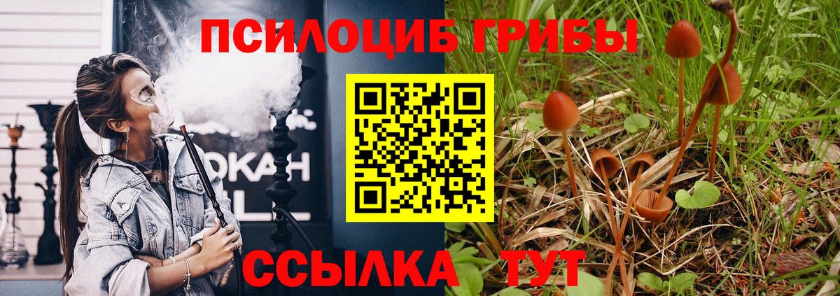 Галлюциногенные грибы Magic Shrooms  Псилоцибиновые грибы ЛСД  Георгиевск  Вход с VPN 